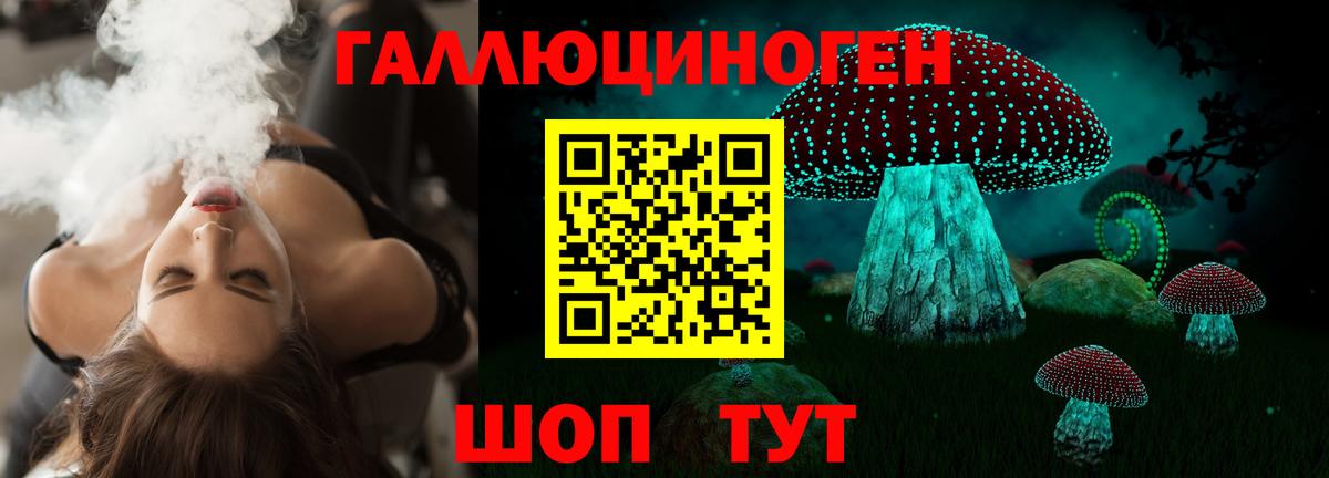 Кохма  Псилоцибиновые грибы Psilocybe  Вход с VPN 